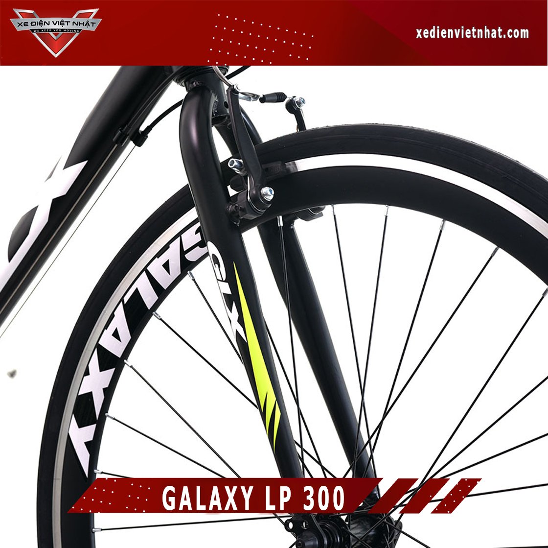 Xe Đạp Galaxy LP300 2021