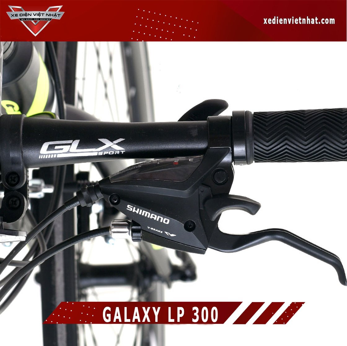Xe Đạp Galaxy LP300 2021