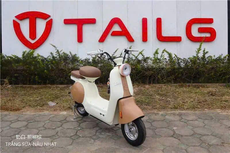 XE ĐẠP ĐIỆN  TAILG JS50