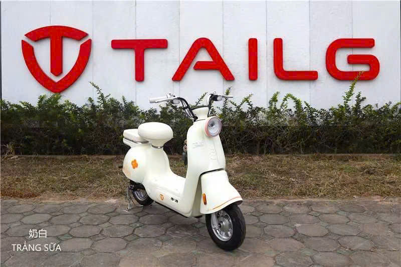 XE ĐẠP ĐIỆN  TAILG JS50