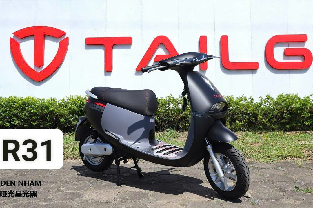 TAILG R31