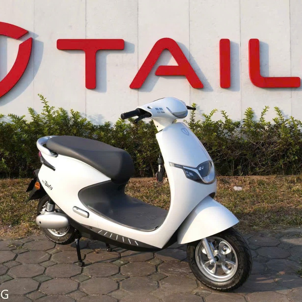 XE MÁY ĐIỆN TAILG R53