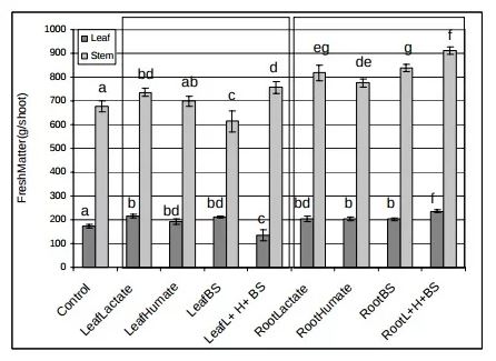 anh huong cua axit humic, lactate và vi khuan co loi tren ca chua