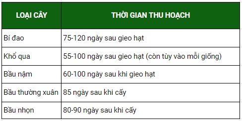 Thời điểm thu hoạch