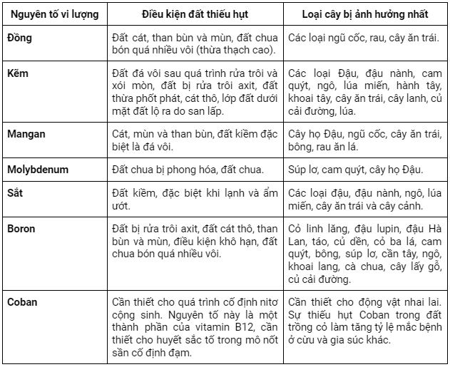 dieu kien dat thieu vi luong