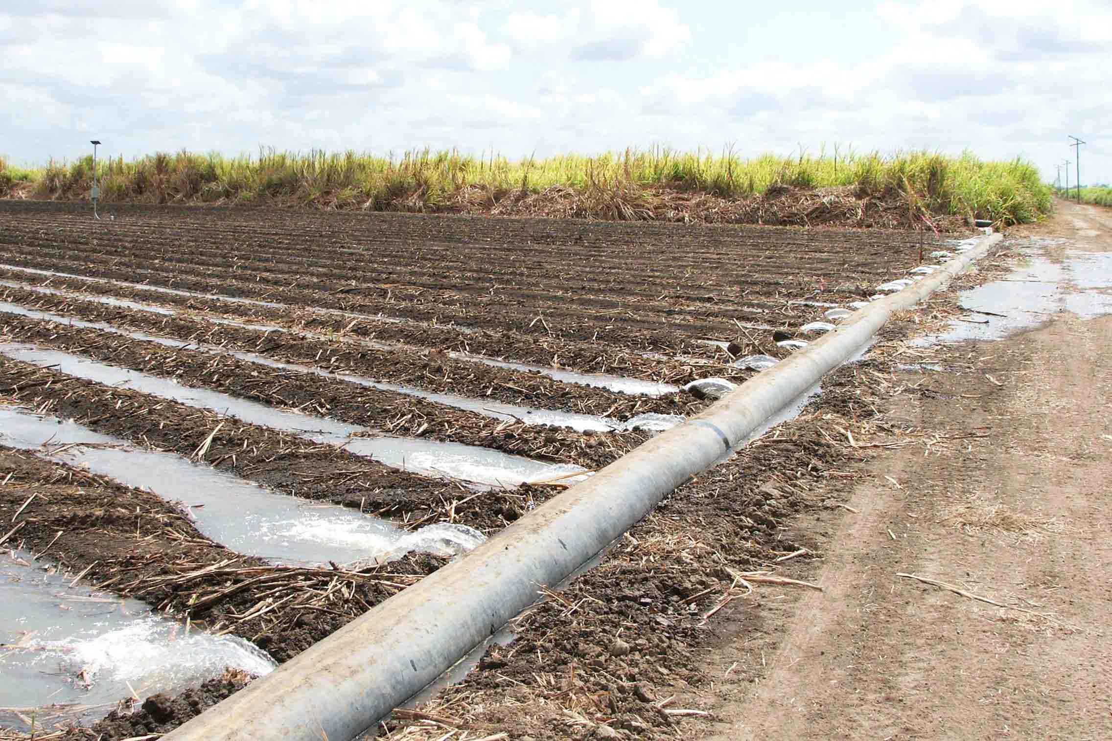 he thong tuoi be mat