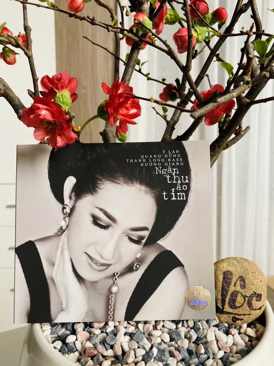 CD NGÀN THU ÁO TÍM