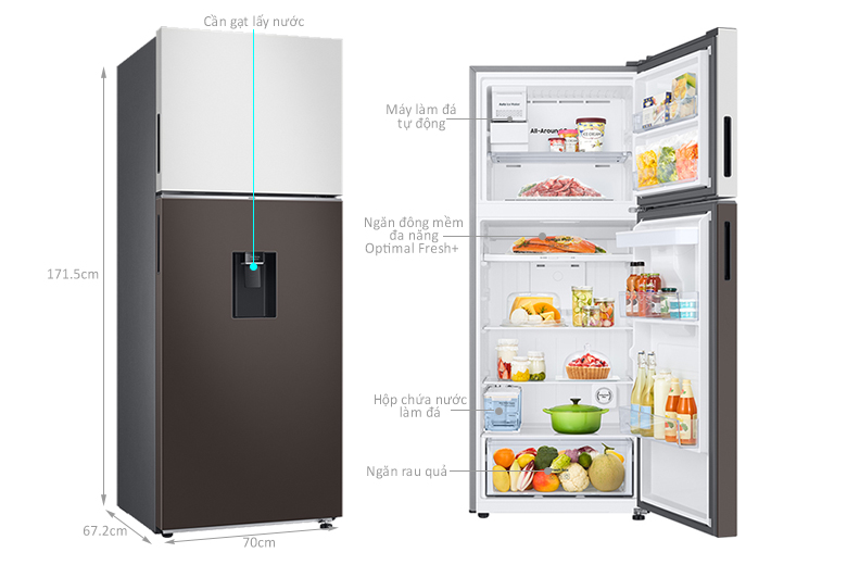 Tủ lạnh Samsung RT38CB6784C3SV