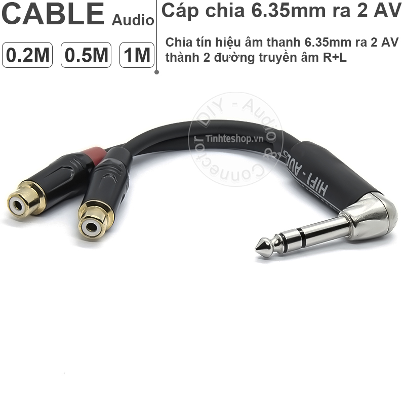 Cáp 6.35mm ra 2 av