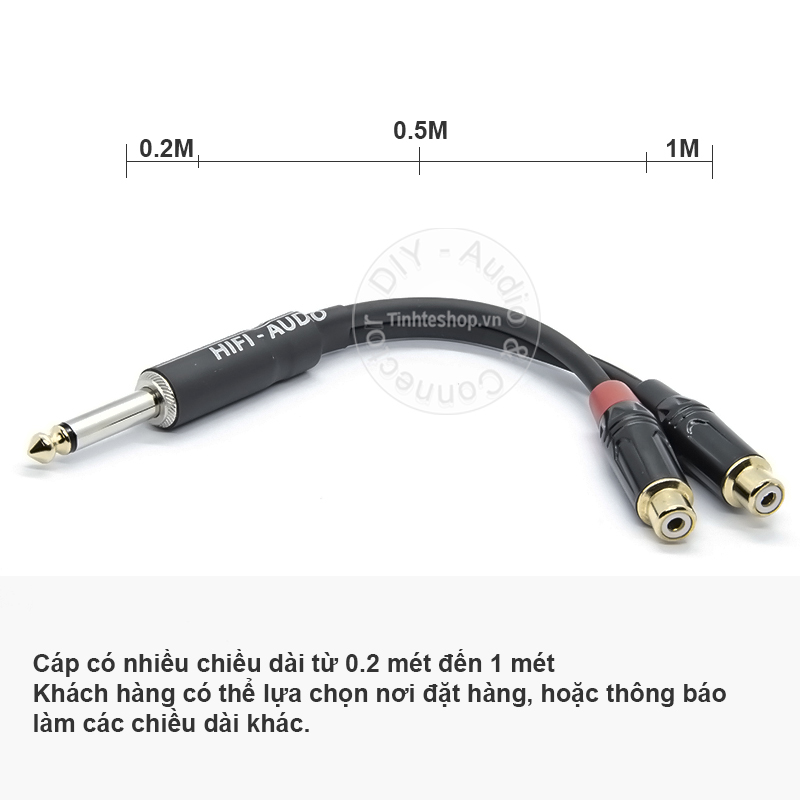audio cable 6.35mm to 2 rca av