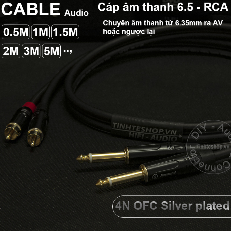 cáp 6.35mm mono ra av audio