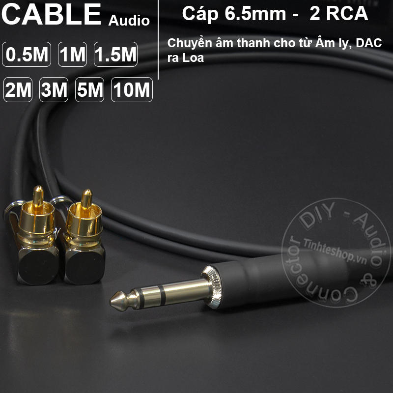 6.5mm TRS to 2 RCA cable