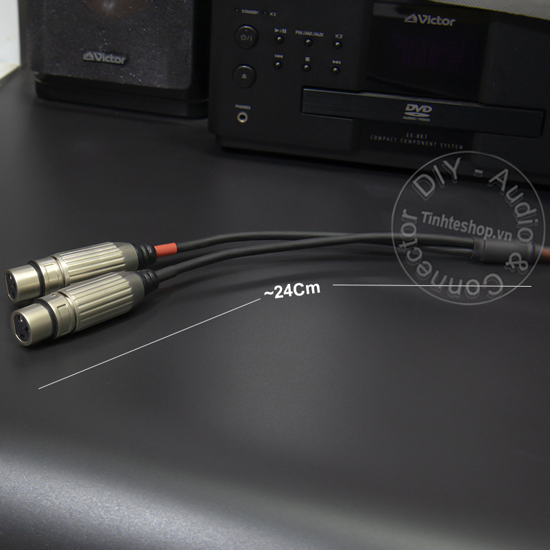 6.5mm mono to 2 XLR male cable