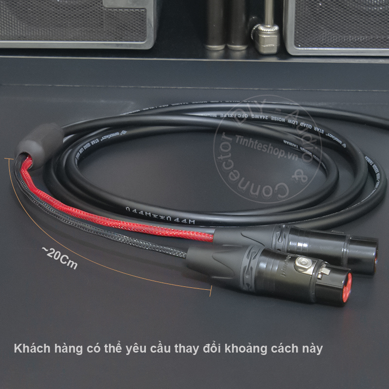 6.5mm mono to 2XLR female audio cable