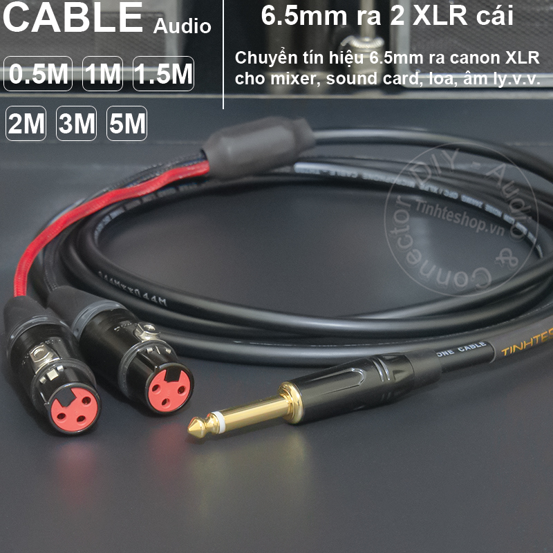 6.5mm mono to 2XLR female audio cable