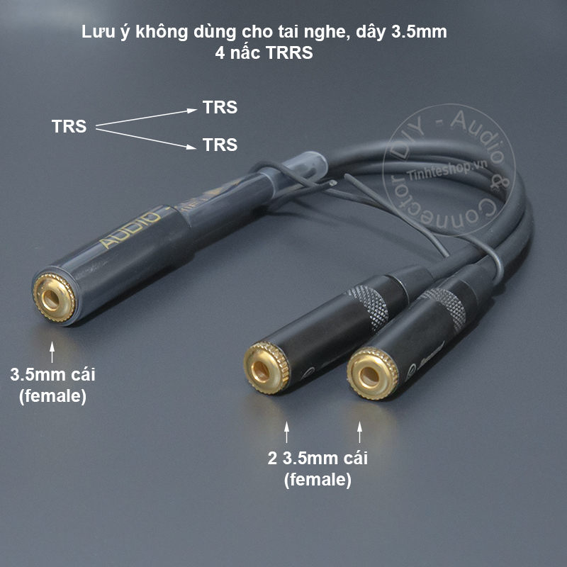 3.5mm female to 2 female audio cable