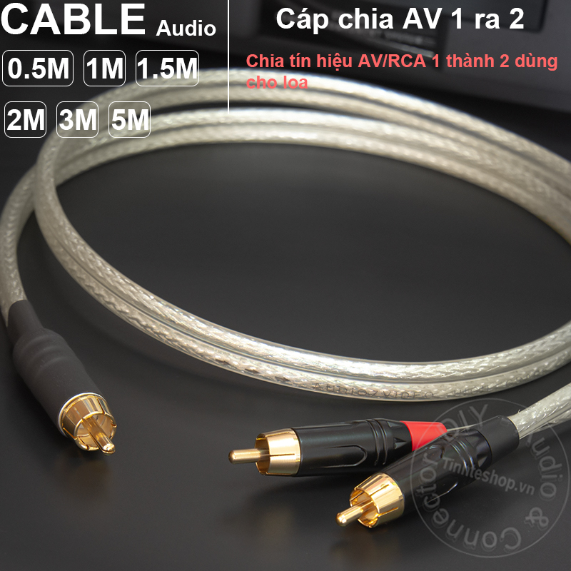 RCA male to 2 RCA male cable