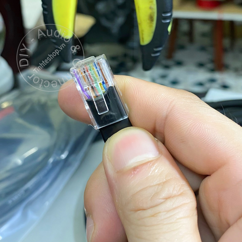 RJ50 UTP 10-pin network cable