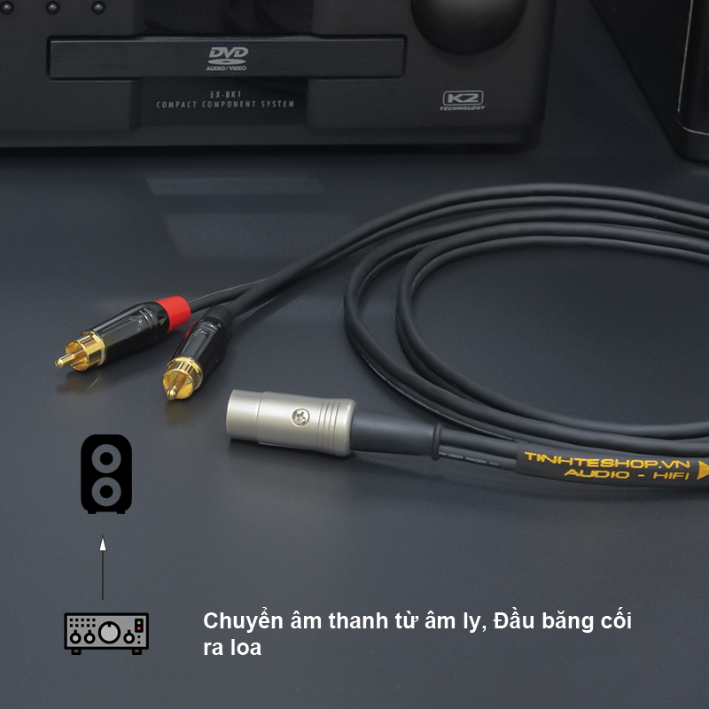 Dây âm thanh từ MIDI 5pin ra 2 hoa sen AV