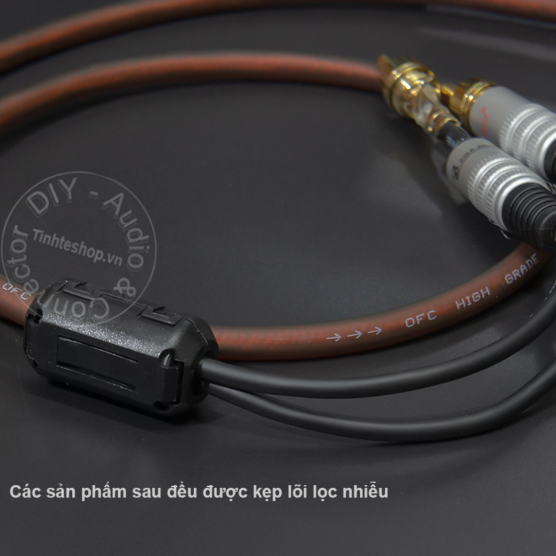 MIDI DIN 5 pin male to 2 RCA