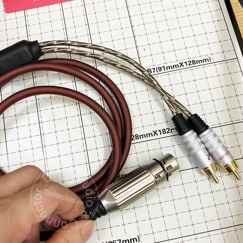 Cáp XLR sang 2 AV