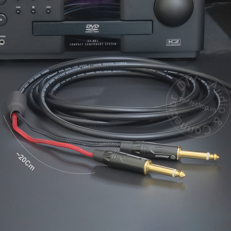 XLR male to 2 6.35mm mono audio cable
