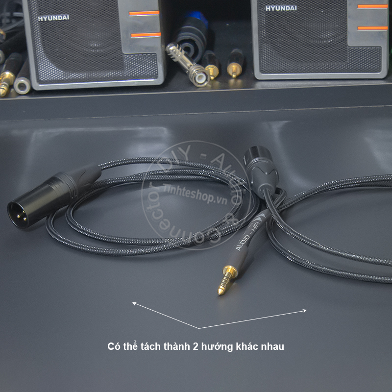 4.4mm out 2 male XLR balanced audio cable DIY