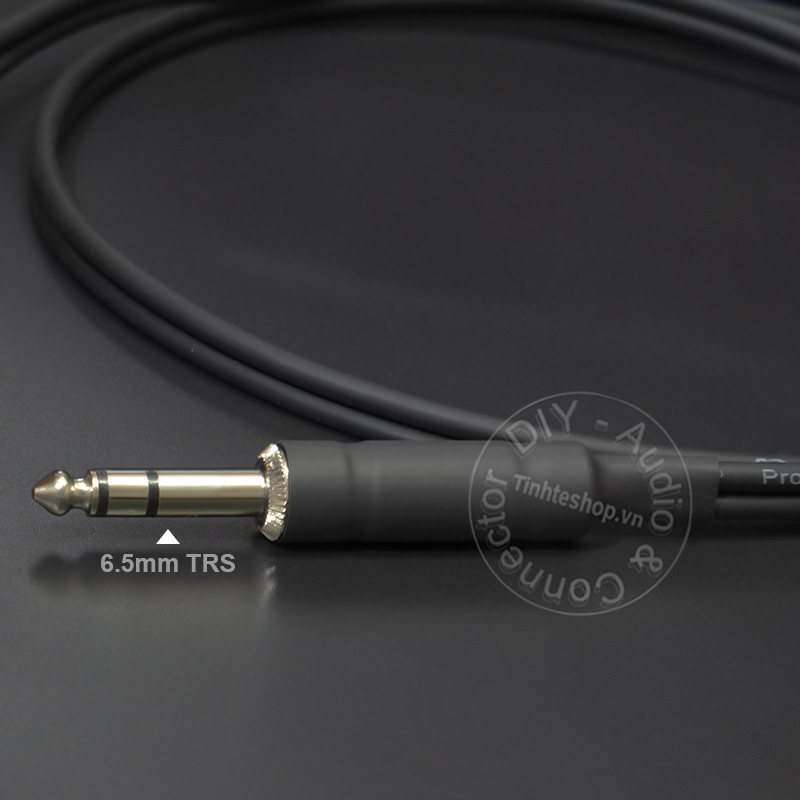 6.5mm TRS to 2 RCA cable