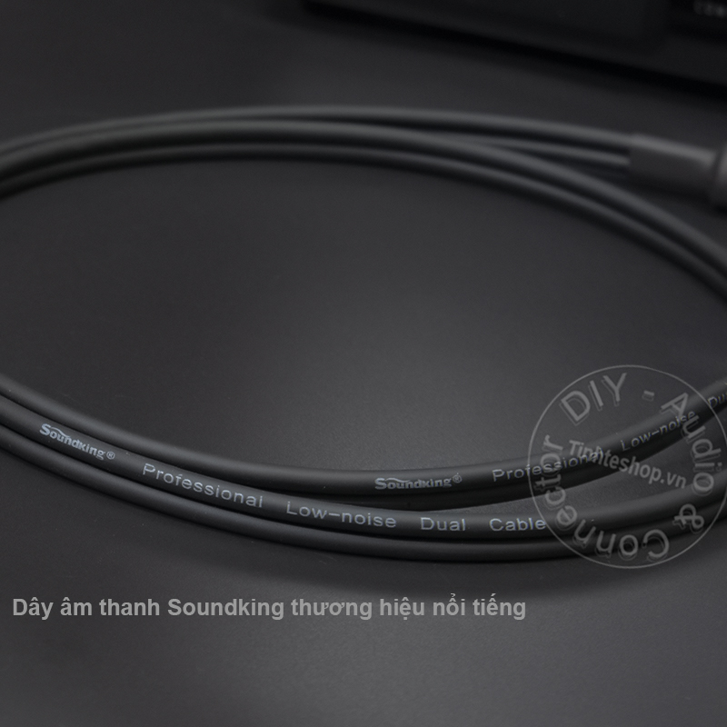 6.5mm TRS to 2 RCA cable