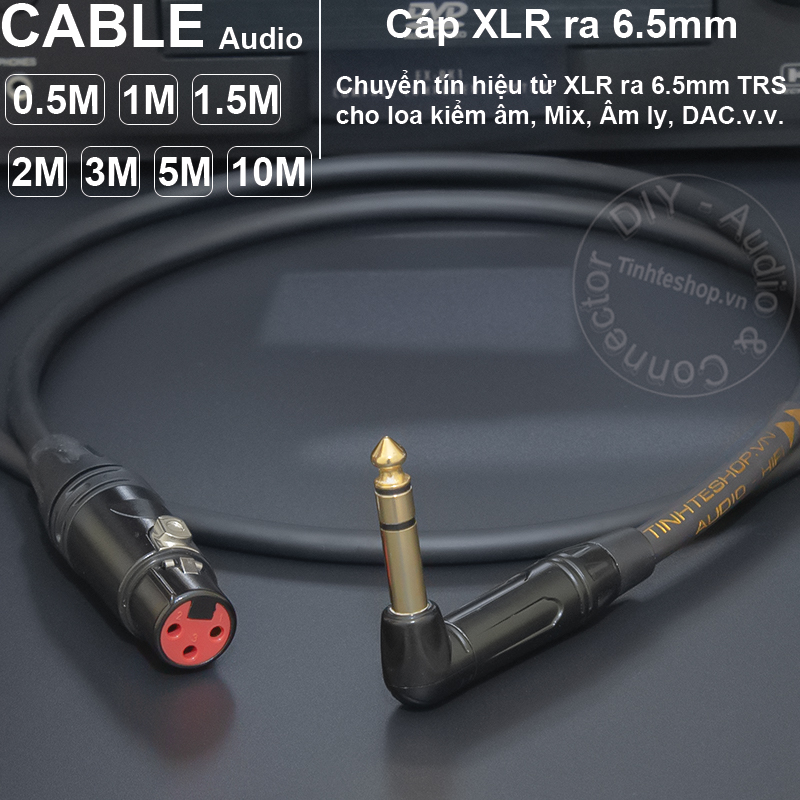 XLR female to 6.35mm TRS audio cable
