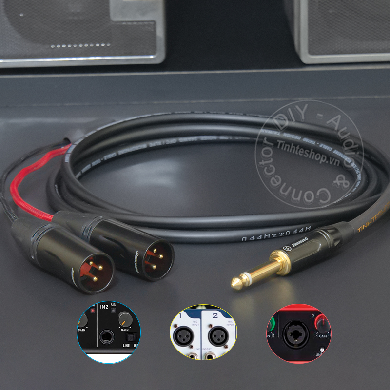 6.5mm mono to 2 XLR male audio cable