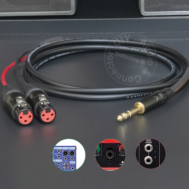 6.5mm TRS audio cable to 2 female canons