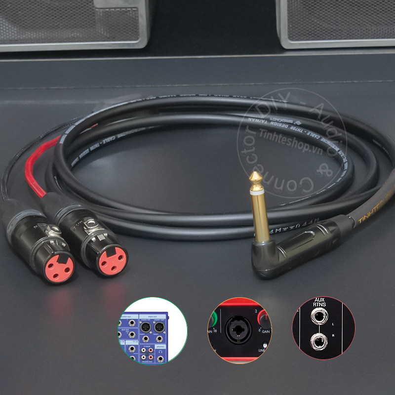 1/4 TS to 2 female canon audio cable