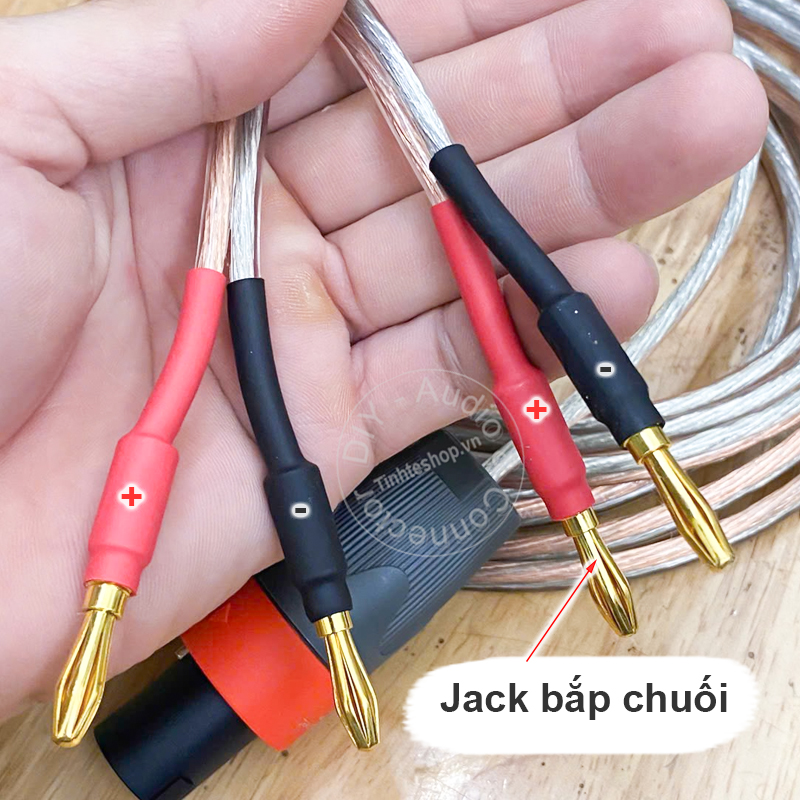 Cáp loa jack bắp chuối sang speakon