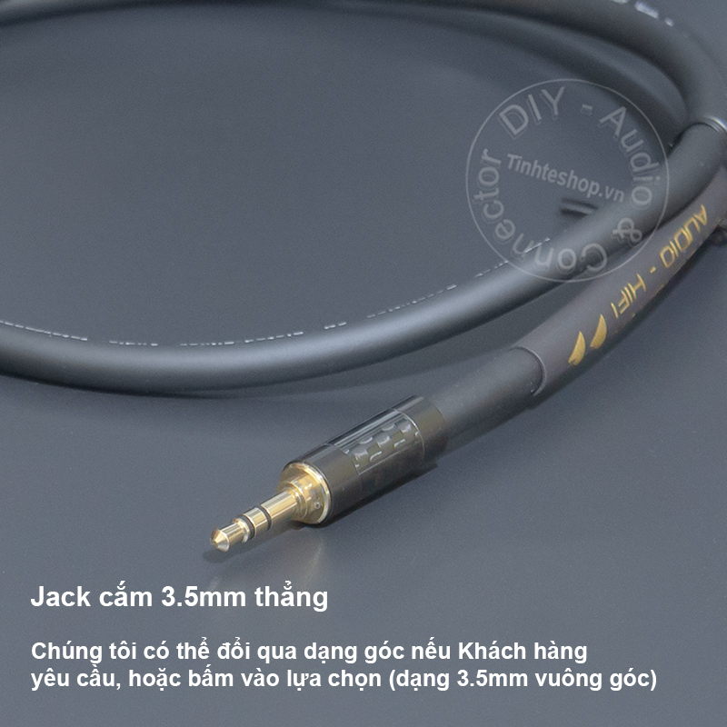 USB-C to 1/8 AUX audio cable