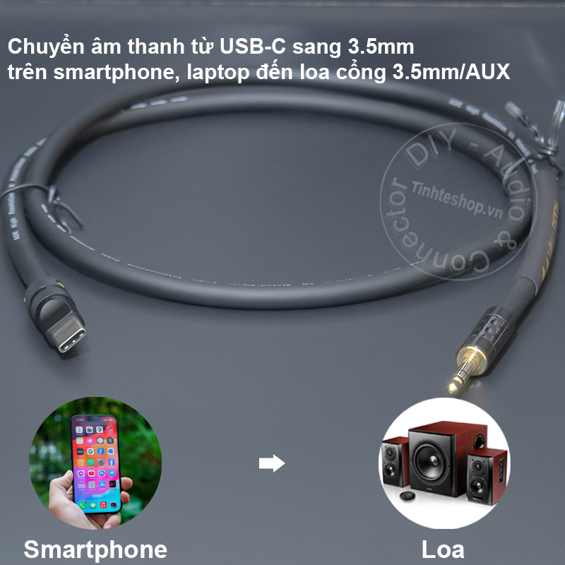 USB-C to 1/8 AUX audio cable