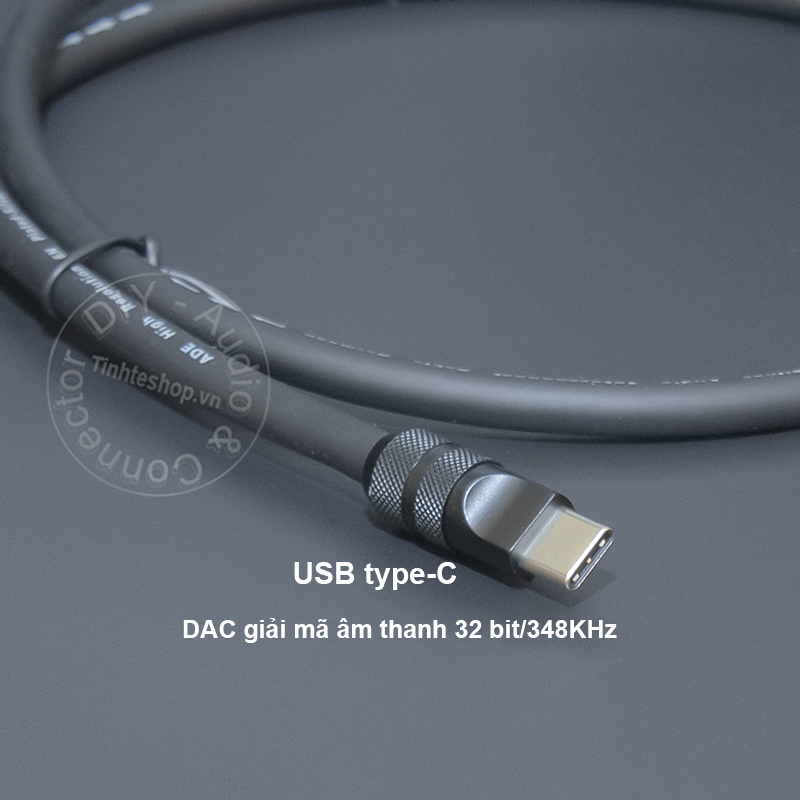 USB-C to 1/8 AUX audio cable