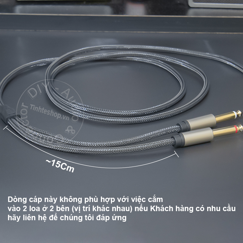 USB C to 6.35mm 2-port cable transfers audio from Smartphone Tablet Laptop to Speaker Mixer