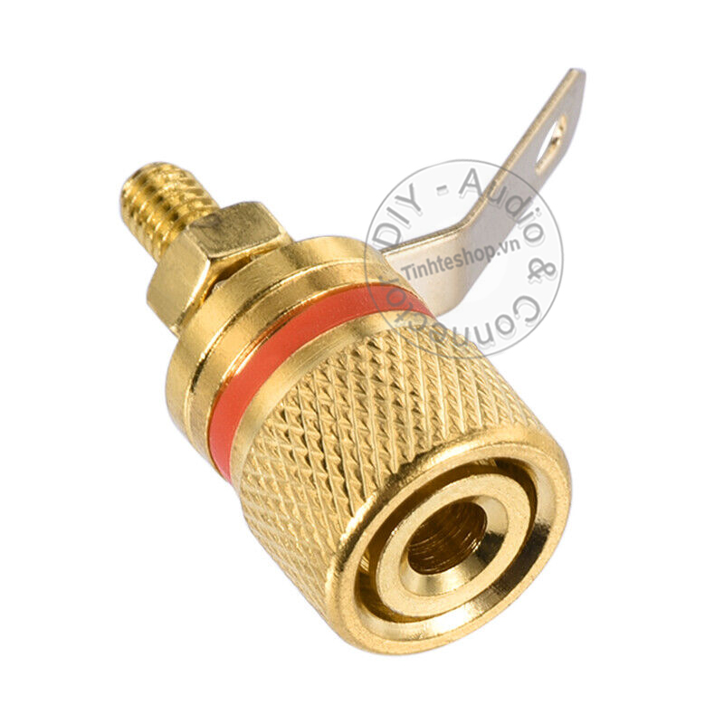 Audio jack on the enclosure of the Speaker or Multi-Plug Amplifier