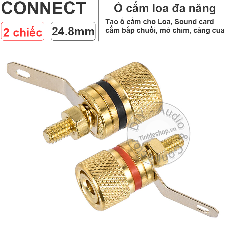 Audio jack on the enclosure of the Speaker or Multi-Plug Amplifier