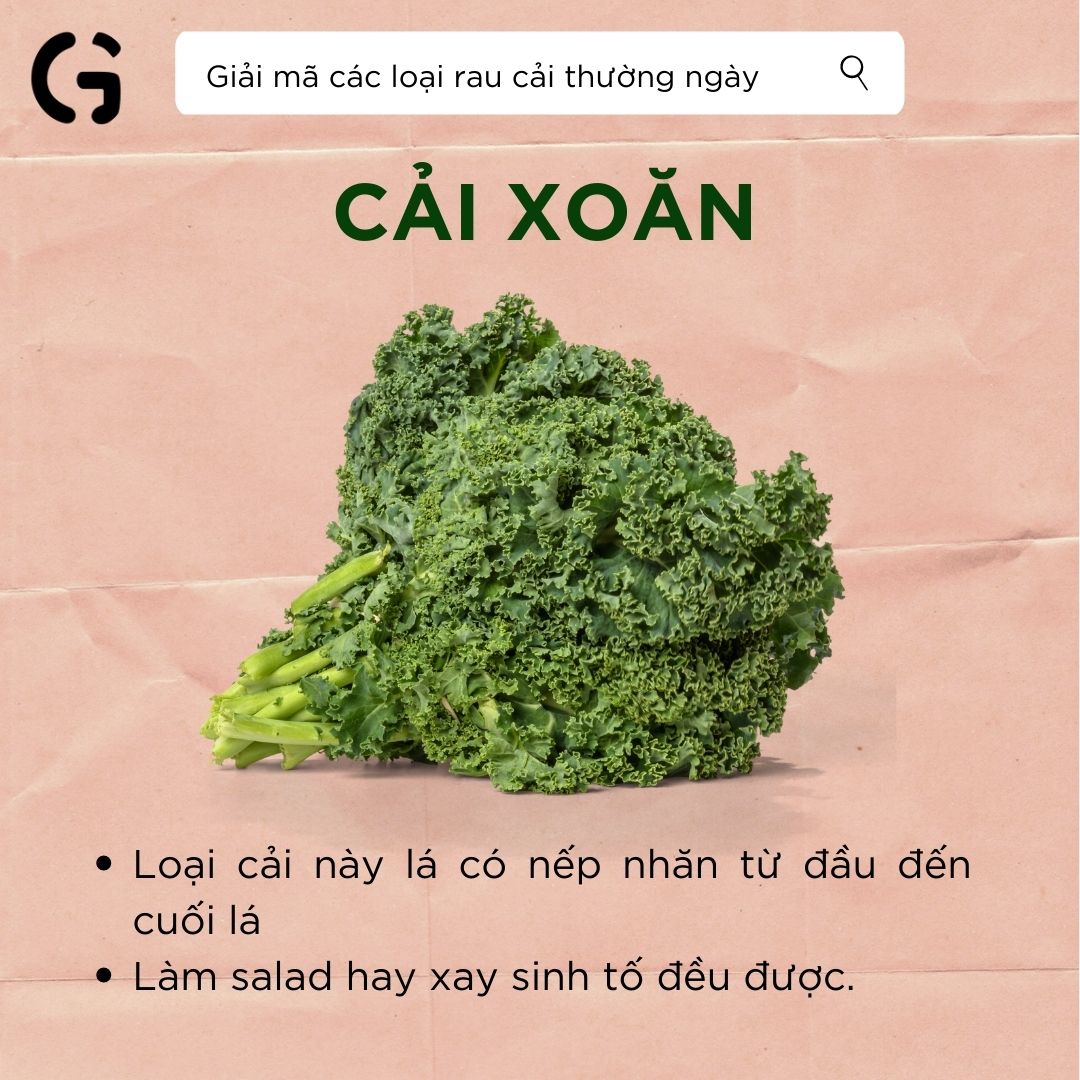 Hình dạng và công dụng của cải xoăn