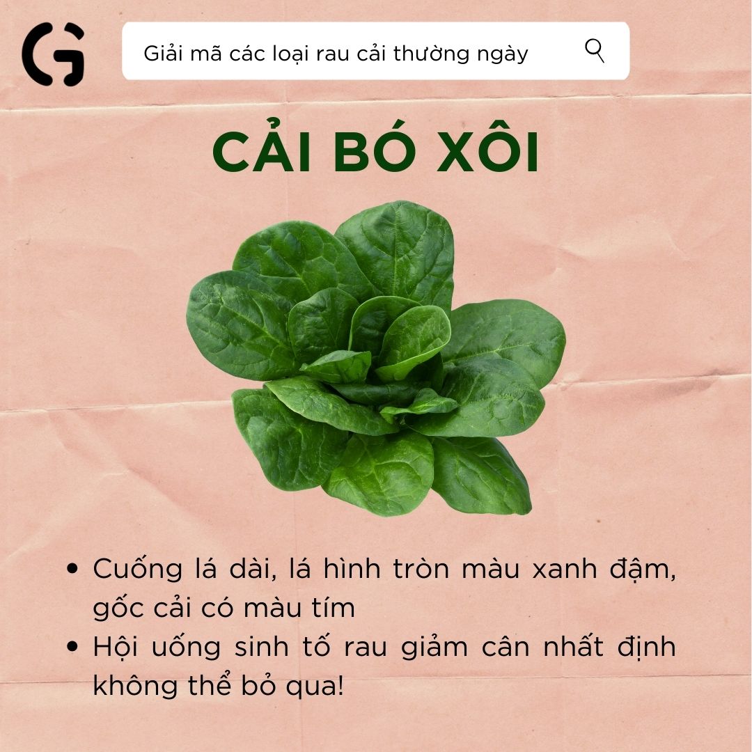 Hình dạng và công dụng của cải bó xôi
