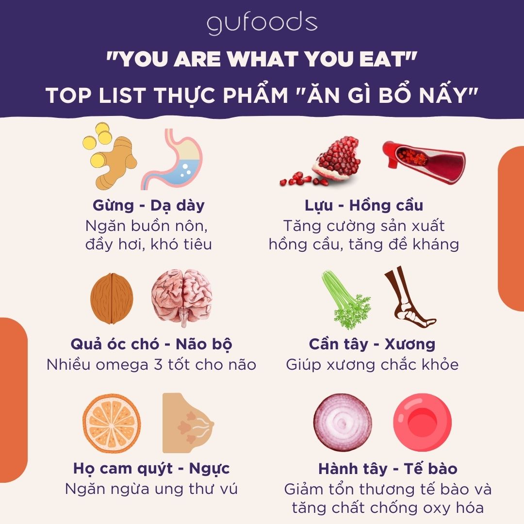 ĂN GÌ BỔ NẤY - LIỆU CÓ THẬT SỰ ĐÚNG?