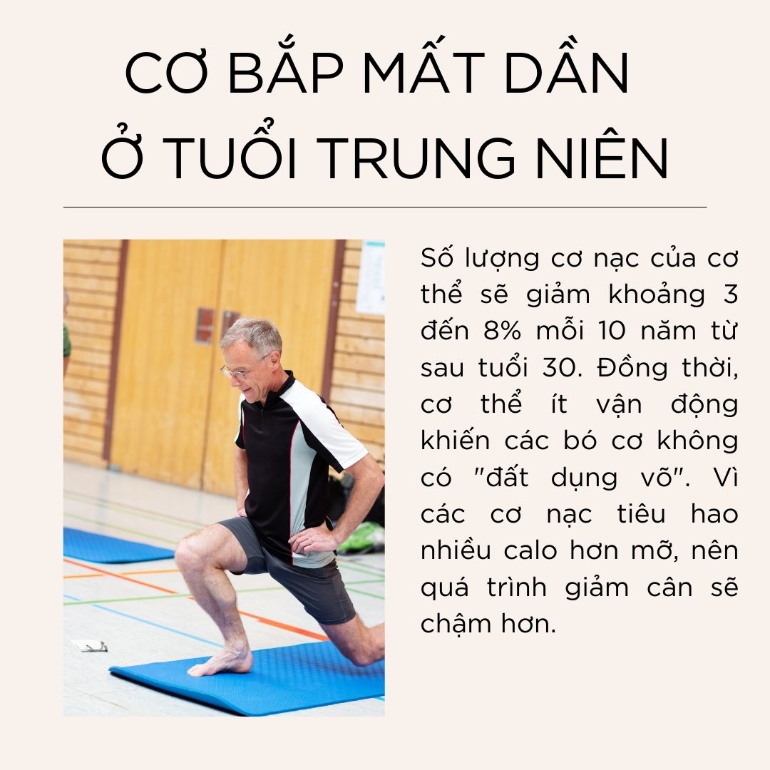 Cơ bắp mất dần ở tuổi trung niên