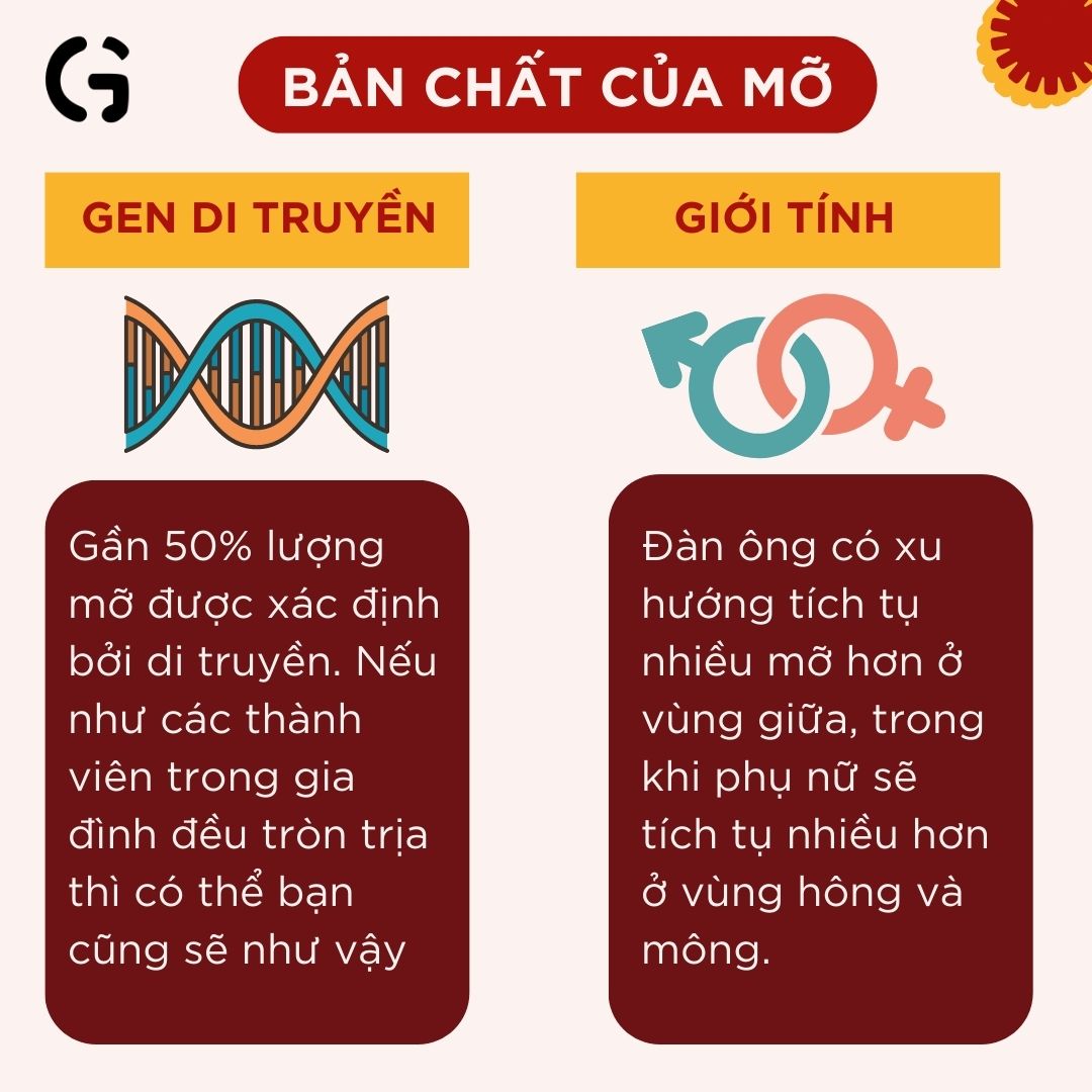 Hiểu mỡ để giảm đúng