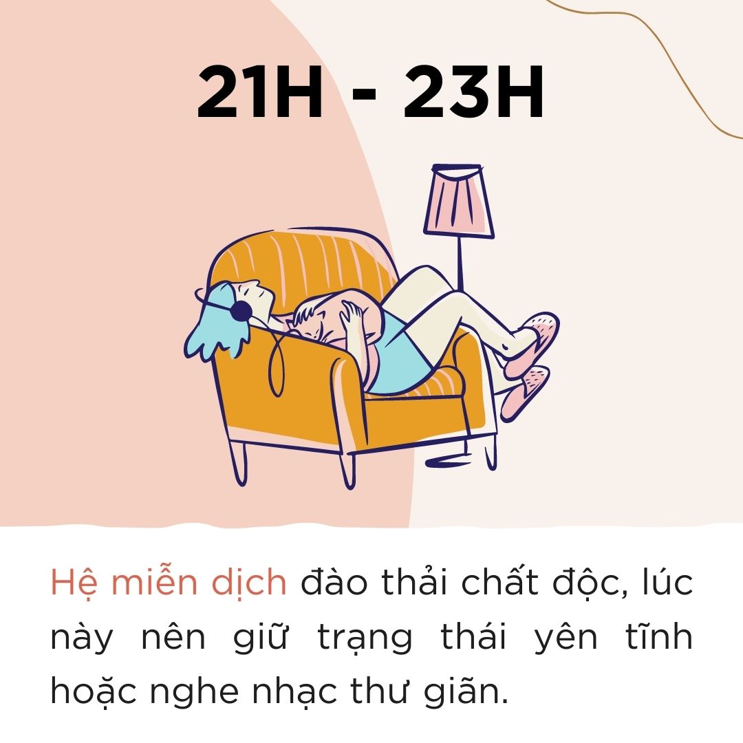 Cơ thể của chúng ta hoạt động như thế nào vào buổi tối?