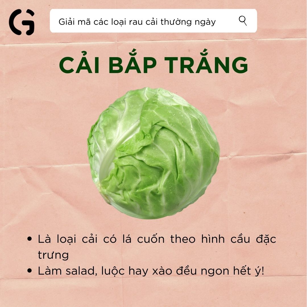 Hình dạng và công dụng của cải bắp trắng