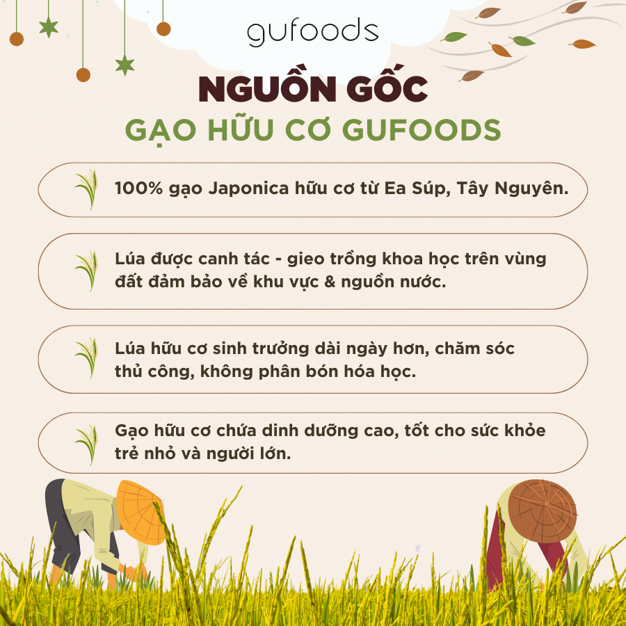 Snack gạo hữu cơ ăn dặm cho bé