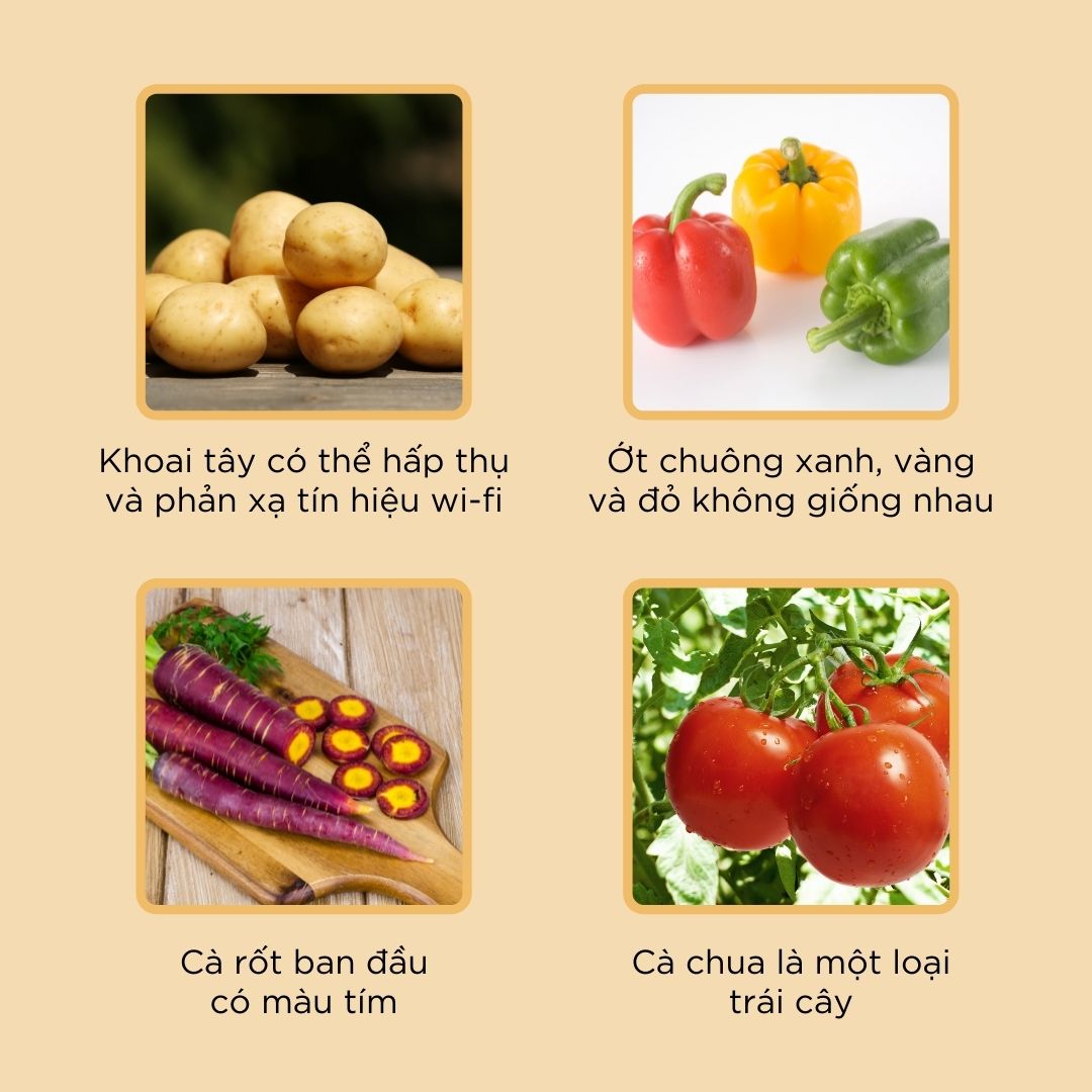 Một chút sự thật về thực phẩm