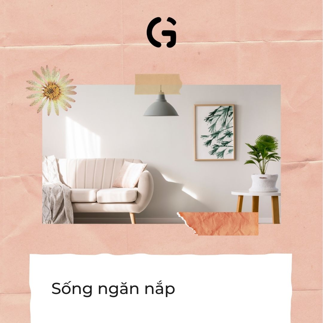 Học cách sống rạng rỡ mỗi ngày